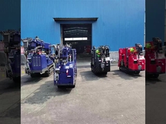 Elektrisch en op diesel aangedreven aangepaste kleurenspinkruippakjekraan Telescopische boom 3ton 5ton 8ton