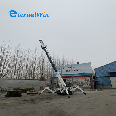 Elektrische en dieselkracht 5 ton spinnekraan met een hefvermogen van 12 ton