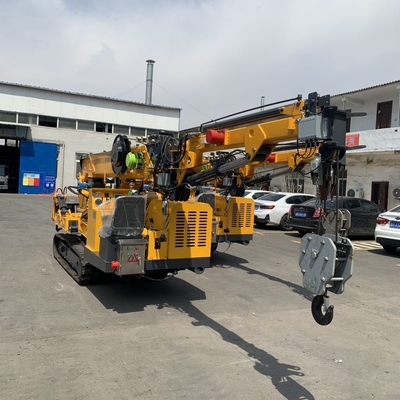 Gepersonaliseerde Spider Crawler Crane Dieselmotor En Elektrische Dubbele Kracht